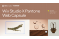 Wix Studio、Pantone と提携した「2025年 カラー・オブ・ザ・イヤー Web カプセルコレクション」を発表