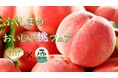福島県×ENJOY!よりみち 「ふくしまのおいしい桃フェア」「ふくしまのおいしい桃」試食会イベント開催