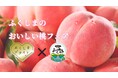 福島県×ＥＮＪＯＹ！よりみち　「ふくしまのおいしい桃フェア」「ふくしまのおいしい桃」試食会イベント開催
