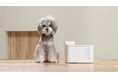世界で500万人が愛用するペット家電ブランド PETKIT（ペットキット）が、バッテリーで最大83日間稼働するコードレス自動給水機を、日本最大級のペットイベント「インターペット東京」で発売します。