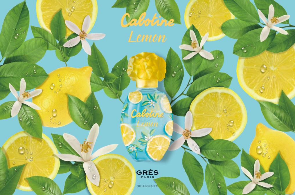 日本限定】グレ カボティーヌ レモン発売。夏は清涼感のあるレモンの