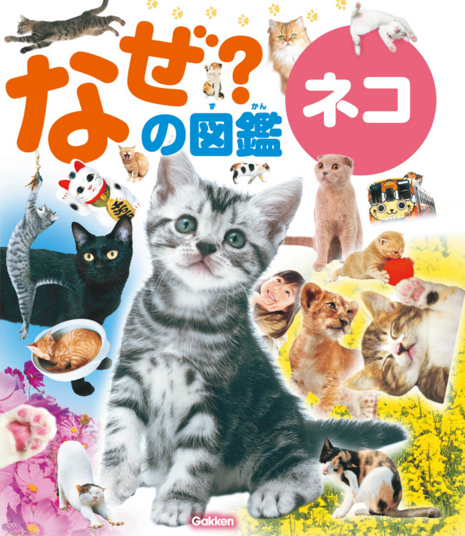 読めばおやこで 猫まみれ の1冊 ネコの なぜ にこたえます なぜ の図鑑ネコ 新発売 ネコのことが何でもわかる 株式会社 学研ホールディングスのプレスリリース