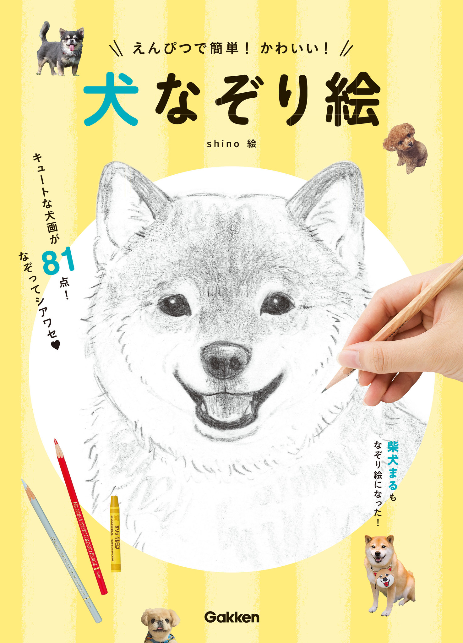 なぞってシアワセ キュートなわんことリラックスタイム えんぴつで簡単 かわいい 犬なぞり絵 8月23日 水 発売 株式会社 学研ホールディングスの プレスリリース