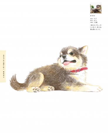 えんぴつで簡単 かわいい 犬なぞり絵 8月23日 水 発売 ファニマル Fanimal