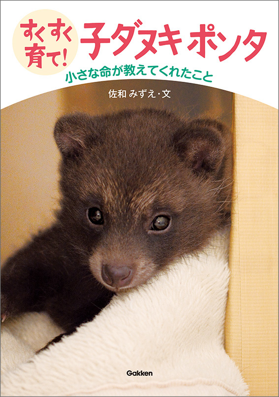 子犬だと思ったのは、野生のタヌキの赤ちゃんだった！ ともに過ごした1年半。小さな命が教えてくれたこととは――。児童書