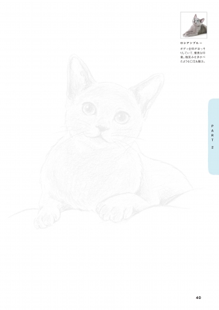 なぞるだけでかわいい猫が描ける えんぴつで簡単 かわいい 猫なぞり絵 は12月15日 金 発売 株式会社 学研ホールディングスのプレスリリース