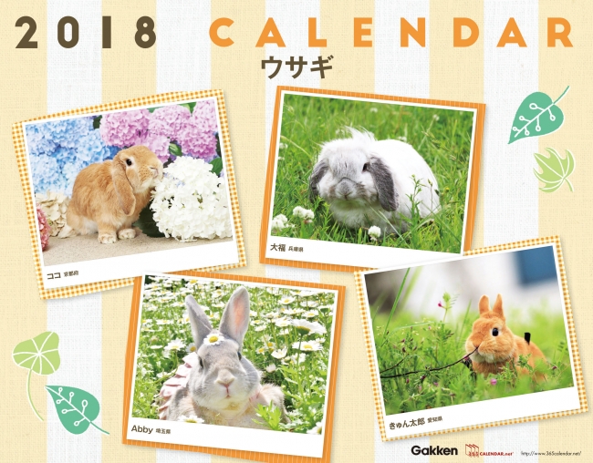 ▲2018年版「ウサギ」の表紙