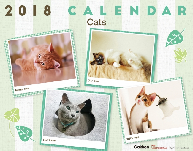 ▲2018年版「Cats」の表紙