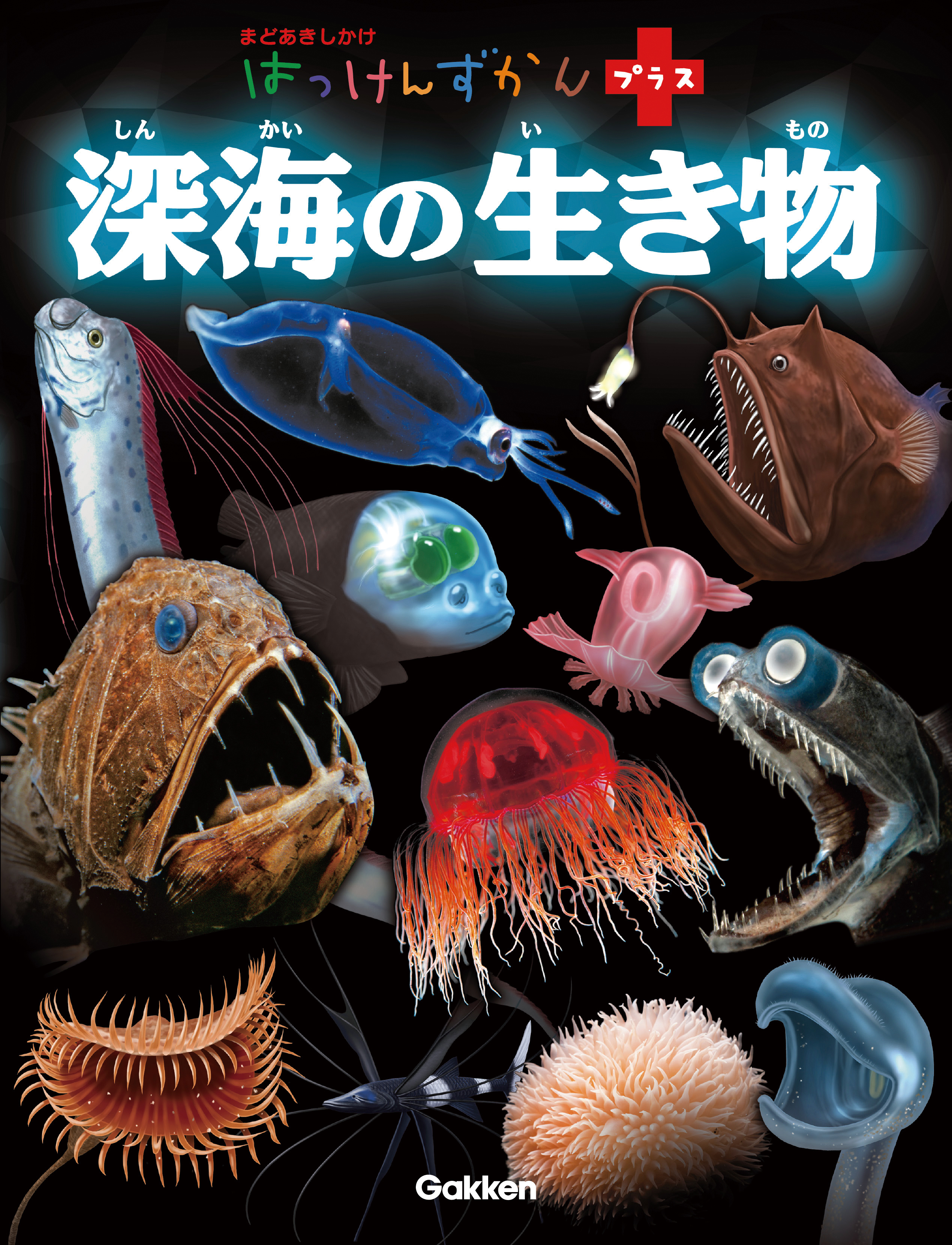 はっけんずかんプラス 深海の生き物 は つらいところでがんばる生き物たちのしかけ絵本 彼らが厳しい環境で生き抜くヒミツが楽しく学べます 株式会社 学研ホールディングスのプレスリリース