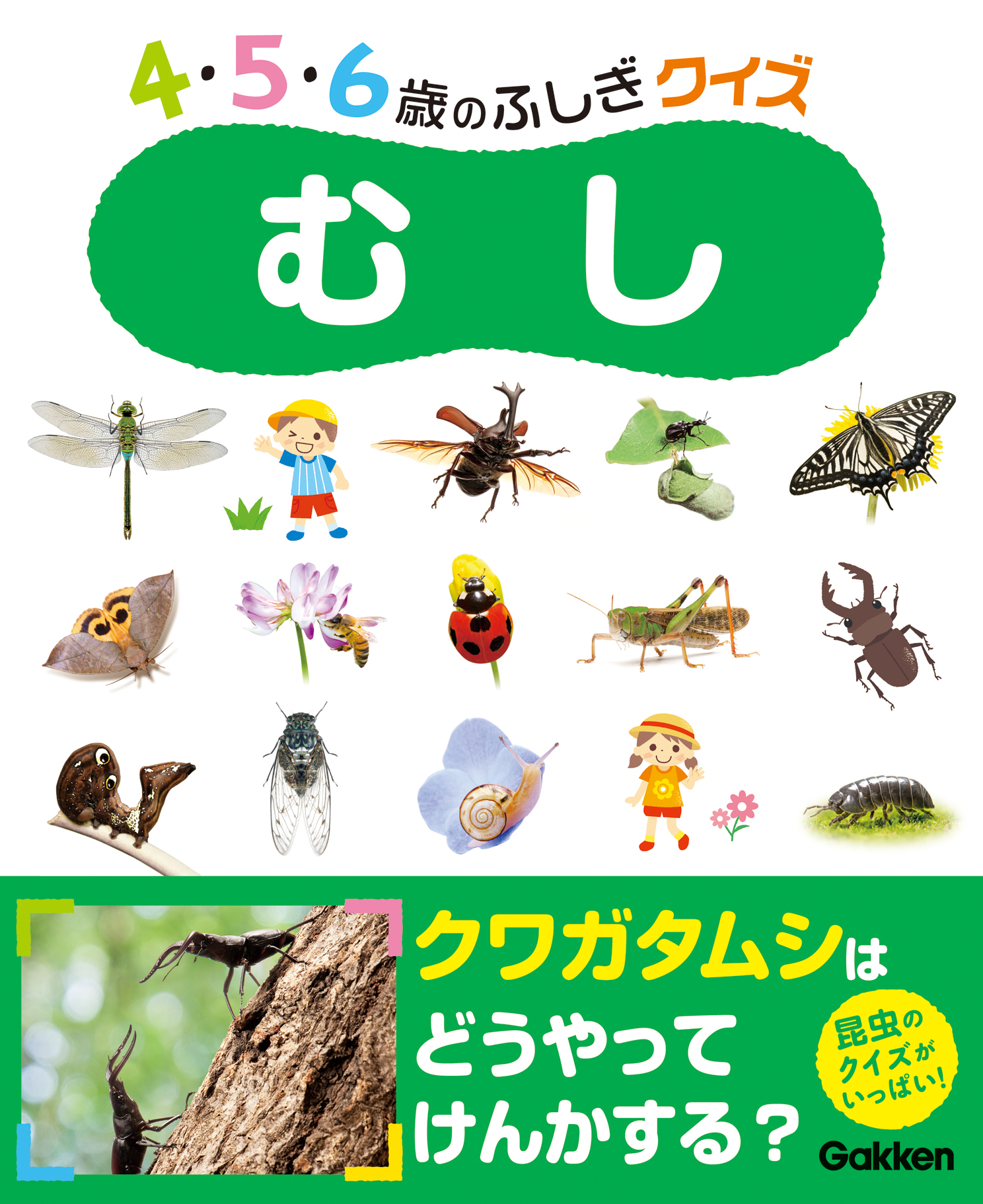 ４ ５ ６歳のふしぎクイズ むし は 虫のヒミツがいっぱい詰まった