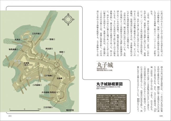 その見事な縄張は、武田か徳川かで議論が分かれる掛川市の「丸子城」。