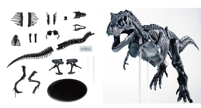 0以上 ティラノサウルス 簡単 白黒 恐竜 イラスト Apixtursaey0rhf