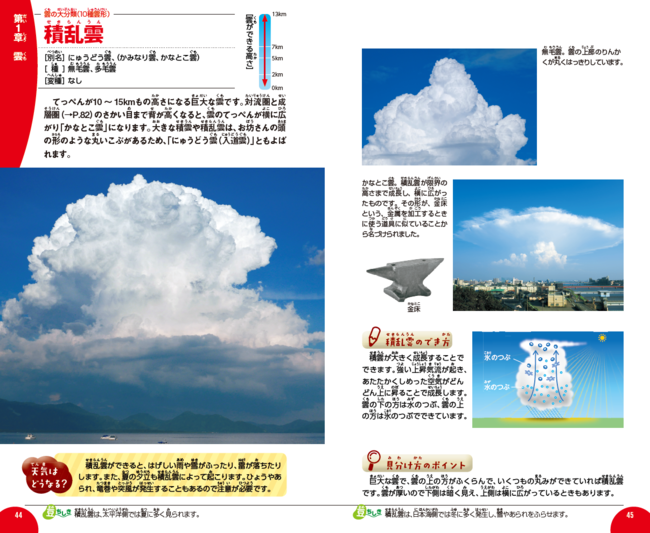 ▲積乱雲。雲の紹介ページでは、それぞれの雲のでき方や見分け方から、雲が出現したあとの天気の変化まで、ばっちりわかる。