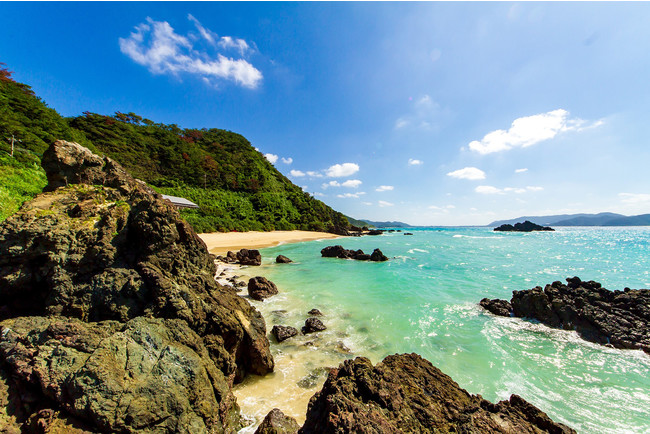 森も海も、豊かな自然環境を持つ奄美大島