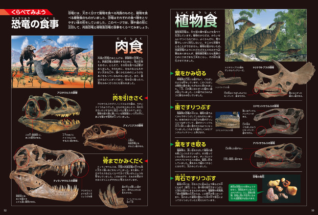 ▲「くらべてみよう」さまざまな恐竜の特徴や生態を比較する。