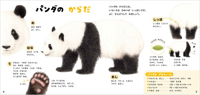 パンダ来日50周年記念 パンダが大集合の絵本のような図鑑 学研のえほんずかん パンダのずかん 予約開始 絵本のようなやさしいタッチで 図鑑のように学べます 読売新聞オンライン まとめ読み プレスリリース Prtimes