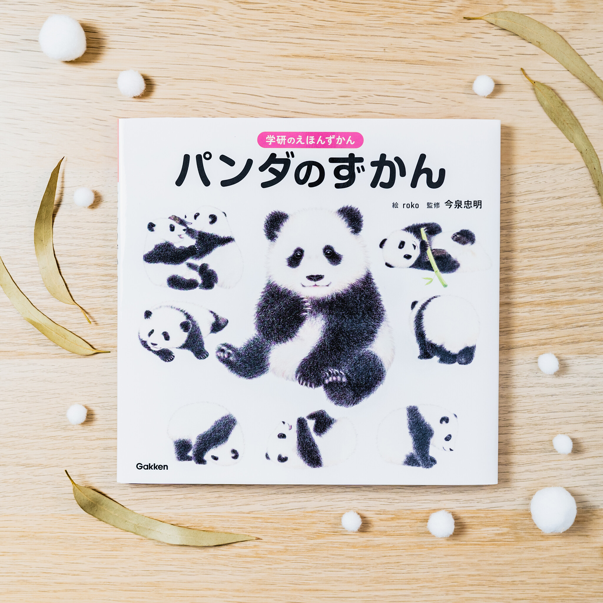 パンダだらけの絵本のような図鑑 学研のえほんずかん パンダのずかん が誕生 色鉛筆のふわふわイラストで パンダのことがまるごとわかる 株式会社 学研ホールディングスのプレスリリース