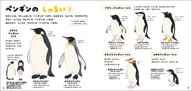 ▲ペンギン18種をすべて紹介！