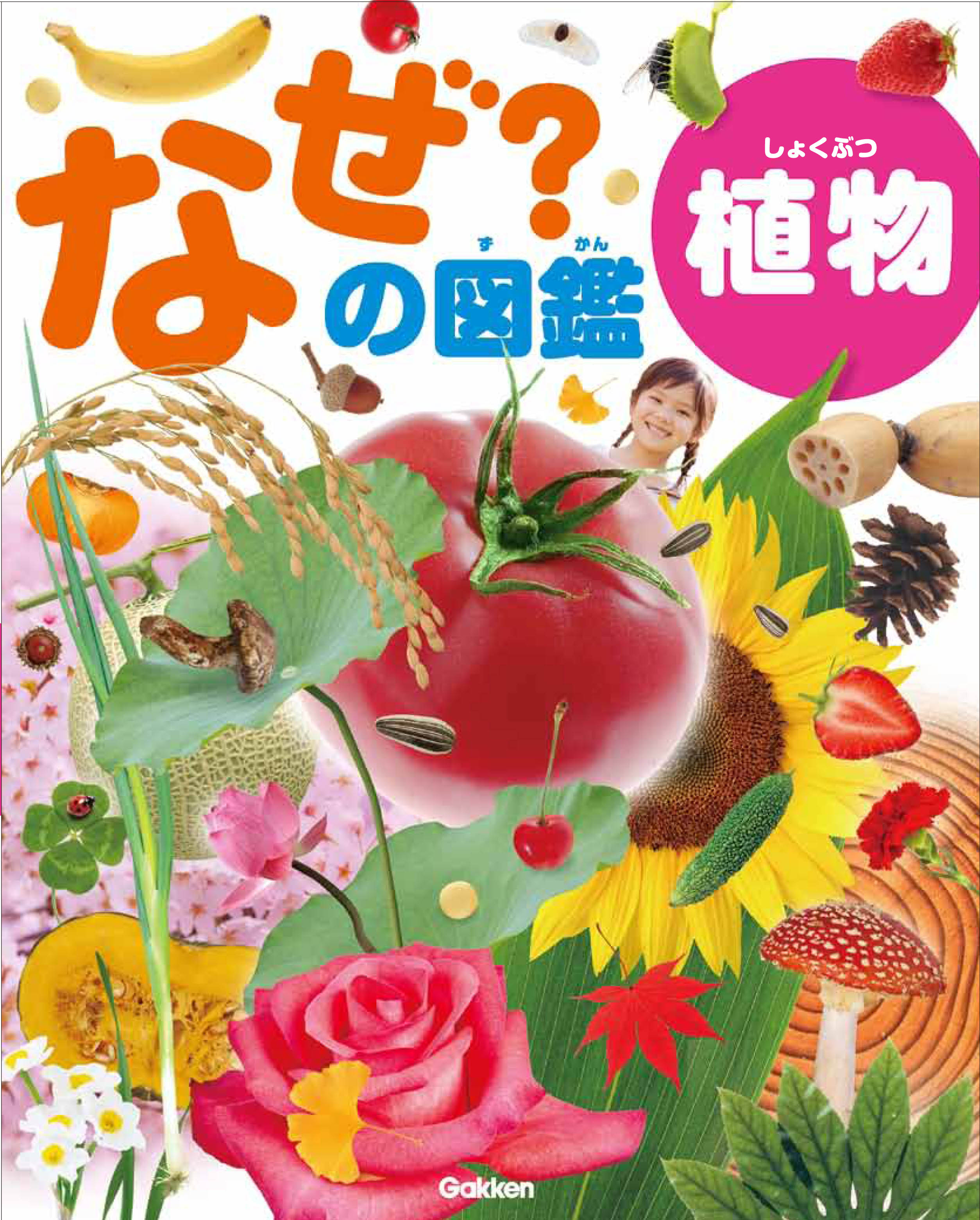 こどもの なぜ にこたえる図鑑シリーズ 最新刊は 植物 花や種 くだものなど 植物のひみつがつまった一冊です 株式会社 学研ホールディングスのプレスリリース