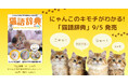 「ニャッ」=「オッス!」ってホント!? しぐさや行動で猫の気持ちがわかる! 『猫語辞典』発売!