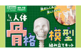 つくって・はって・動かして　人体骨格模型で体のしくみが楽しくわかる本格キットが新発売！　人体白地図パネルや器官系シート、内臓シールつき