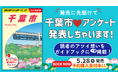 【地球の歩き方 千葉市】ついに表紙カラー版を公開！　千葉市民の「あるある」と「自慢」が詰まった“地元愛”炸裂の1冊、予約受付中