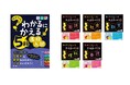 『わからないをわかるにかえる高校入試　5科』予約販売開始