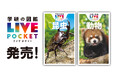 【持ち歩きにぴったりの図鑑】『学研の図鑑LIVEポケット 昆虫 新版』『動物 新版』が全国の書店・ネット書店で同時発売！