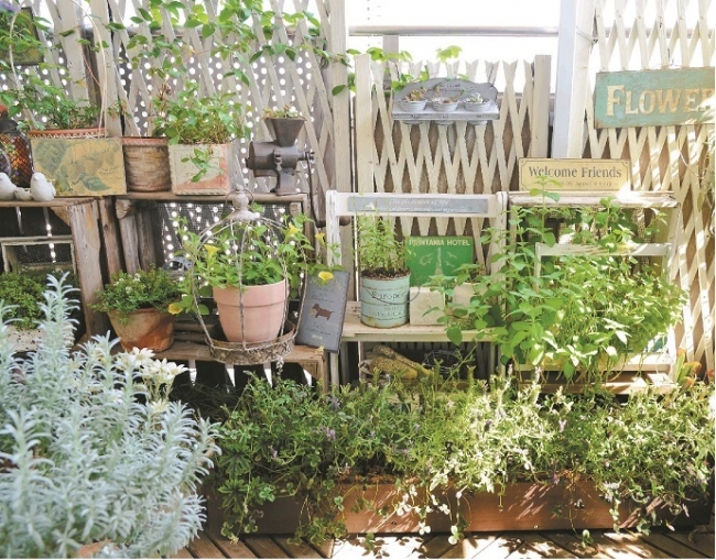 さまざまな植物を、雑貨やウッドボックスといっしょにディスプレイ