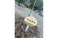 春華堂、「遠州・和栗プロジェクト 掛川栗植樹祭 in 掛川 早川栗園」に参加!