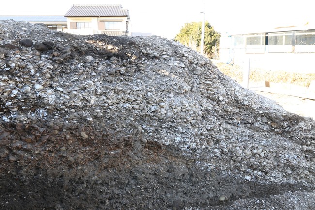 厚く堆積した貝の層 厚く堆積した貝の層