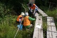 【絶対にやめてください！】国指定天然記念物「葦毛湿原」で極めて重大な自然破壊行為が確認されました