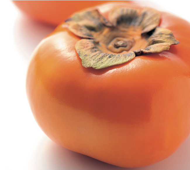 豊橋の秋の味覚 豊橋の秋の味覚