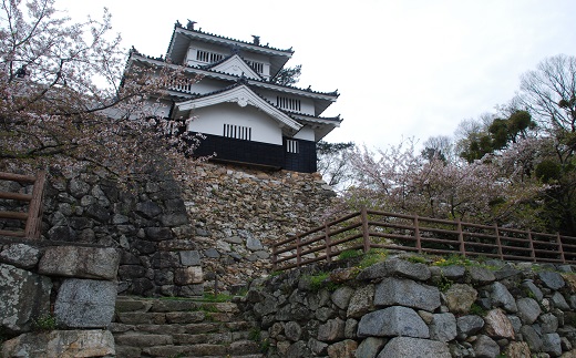 吉田城鉄櫓と石垣