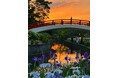 【賀茂しょうぶ園】愛知県内で最大規模!豊橋市の初夏風景が味わえる「花しょうぶまつり」を開催!
