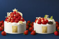 【バターステイツ】クリスマスケーキ2026予約開始。心躍る2段重ねの苺ツリーなど、全7種の聖夜を彩るコレクションが登場