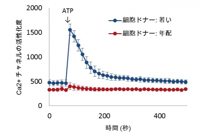 重力がかかったことを感知する能力の違い