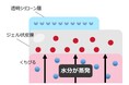 唇の上で色素を含むジェル層と透明層に分離して色持続・つや・なめらかさを叶える口紅の処方を確立
