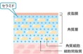石油系界面活性剤不使用のセラミド配合化粧水開発に成功