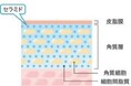 日本初　４種の医薬部外品有効成分配合美容液の安定化に成功