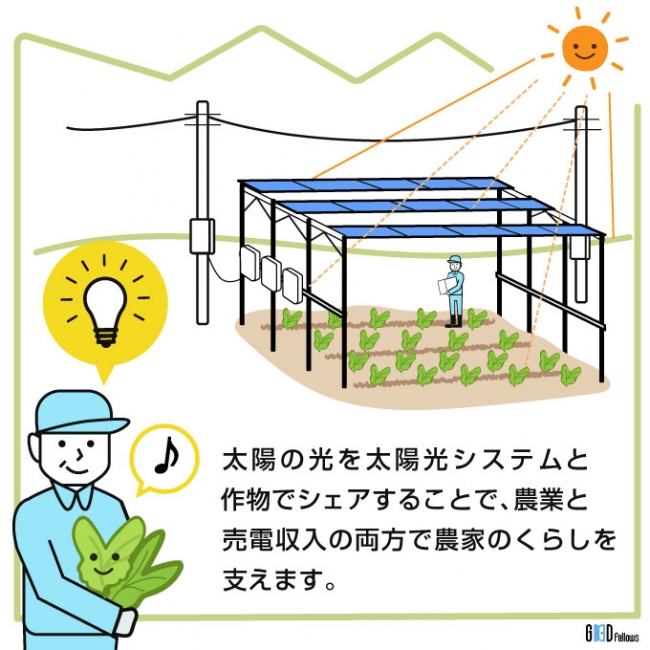 図2：ソーラーシェアリング