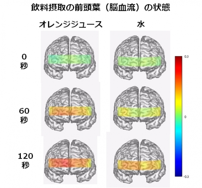 （※補） 四角い部分の色味が赤みを増す（チャート上部の色）になるほど血流が活発であり、逆に青みを増す（チャート下部の色）になるほど血流が穏やかであることがわかります。