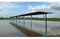 埼玉県川島町にて営農型太陽光発電の実証実験を開始