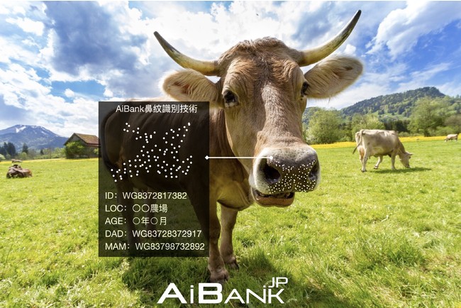 日本初！AIで和牛の個体識別、最新鋭鼻紋認証技術特許取得