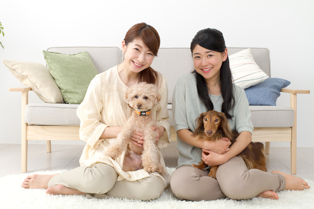 日本初 シェアハウスのプレシェア 犬との共生に特化したシェアハウスの提供開始 株式会社グッドシェアーズのプレスリリース 日本初 シェアハウスのプレシェア 犬との共生に特化したシェアハウスの提供開始 株式会社グッドシェアーズのプレスリリース