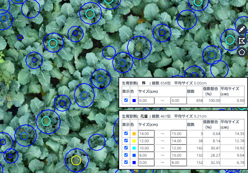 【株式会社スカイマティクス】葉色解析サービス「いろは」、ブロッコリー 花蕾解析機能のサービス提供開始のお知らせ