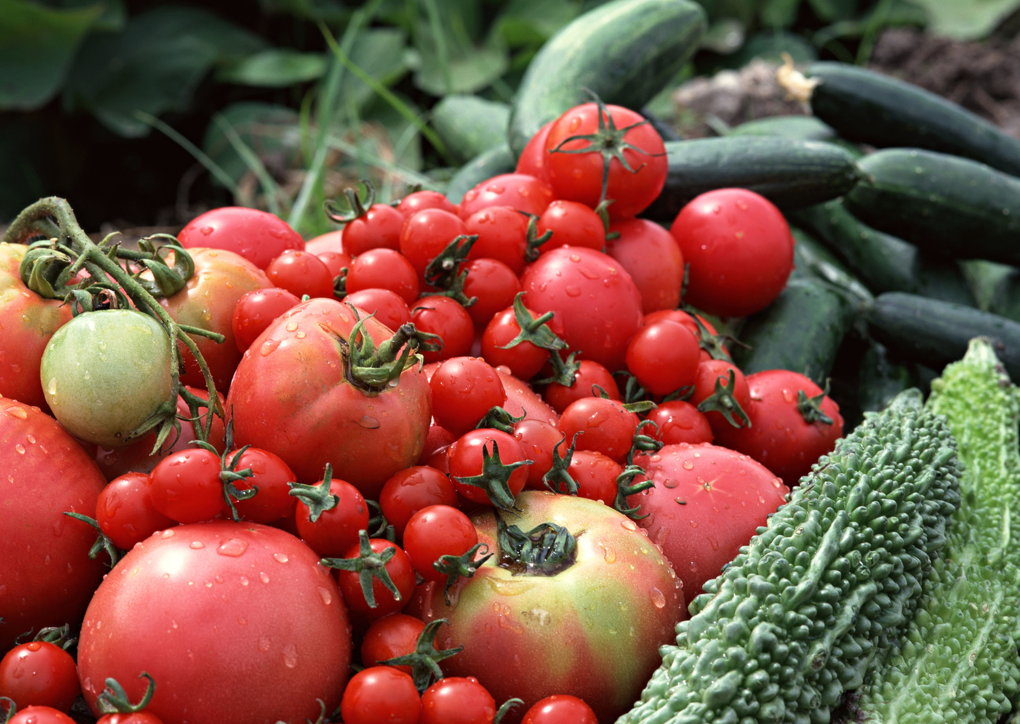 夏野菜と言えばトマト 暑い日に辛いものを食べたくなる人は だった 株式会社ディーアンドエムのプレスリリース