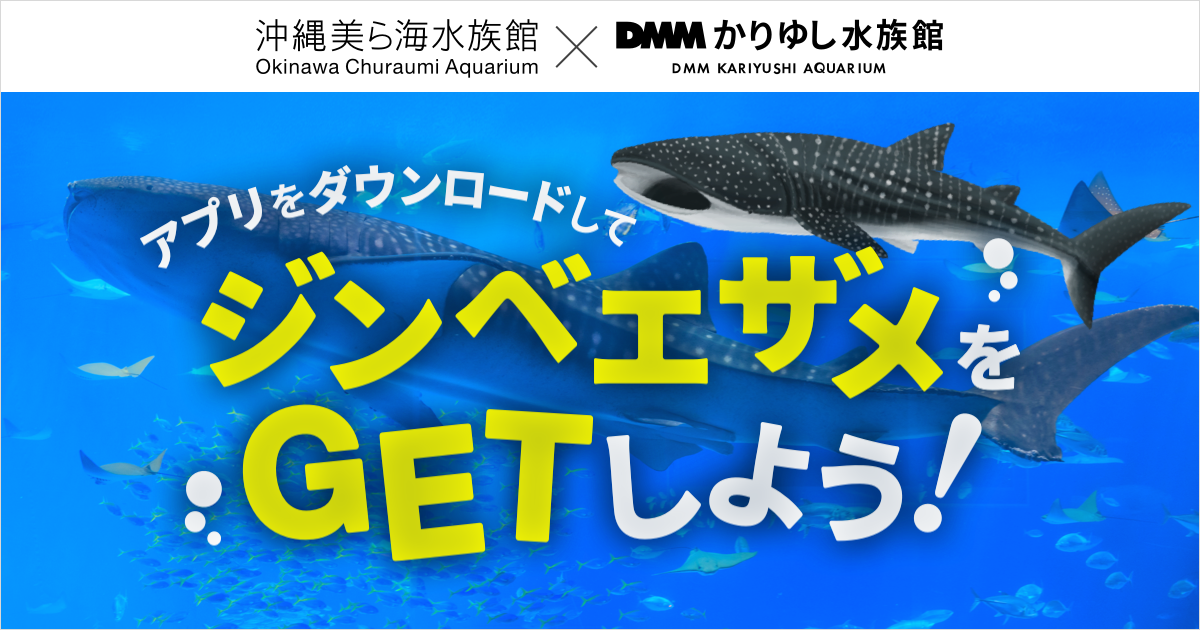 Dmmかりゆし水族館 沖縄美ら海水族館とのコラボキャンペーンをgw期間に再開催 合同会社dmm Comのプレスリリース