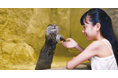 【DMMかりゆし水族館】開業5周年記念!沖縄県豊見城市民への感謝を込めた「豊見城市民感謝Day~開業記念割~」を開催