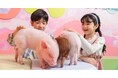 【DMMかりゆし水族館】大好評につき再開催が決定!沖縄県民向け特別割引キャンペーン「しまんちゅ割」6月1日(日)よりスタート!